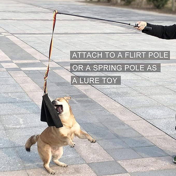 Dog Bite Rag, Leather Interactive Tug of War Toy with Handle for Dog Training, Training Supplies, Flirt Pole for Dogs, Agility Equipment for K9