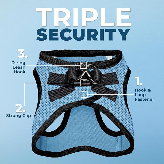 Best Pet Supplies Voyager Step-in Air All Weather Mesh Harness and Reflective Dog 5ft Leash Combo with Neoprene Handle, for Small, Medium and Large Breed Puppies - Set (Baby Blue/Black Trim), XX-Small