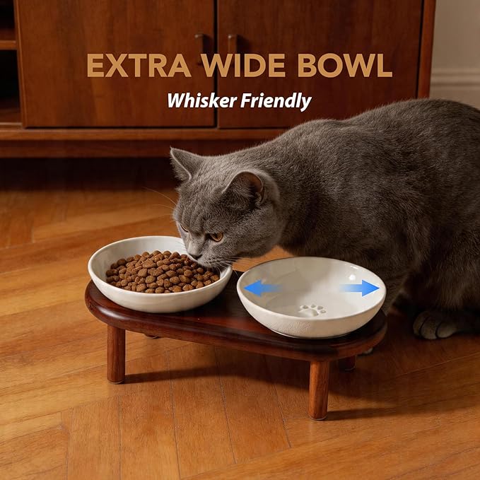 Havniva Elevated Cat Bowls Raised Ceramic Cat Bowl, 5.9” Wide Opening Cat Food Bowl Whisker Friendly Cat Dish Anti-Slip with Wood Stand, Shallow Pet Food & Water Bowl for Indoor Cats