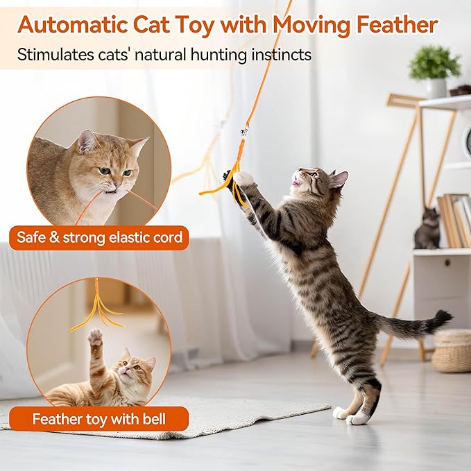 ALL FOR PAWS Interactive Cat Toy for Indoor Cats, Automatic Door Hanging Toy with Moving Feather, USB Rechargeable Cat Toys for Bored Adult Cats & Kittens, Electric Cat Toy for Enrichment & Exercise