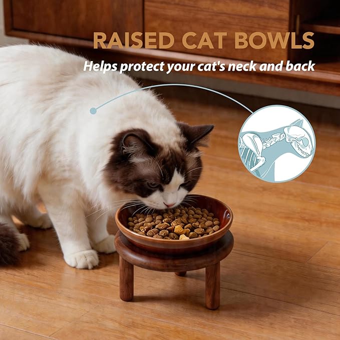 Havniva Elevated Cat Bowls Raised Ceramic Cat Bowl, 5.9” Wide Opening Cat Food Bowl Whisker Friendly Cat Dish Anti-Slip with Wood Stand, Shallow Pet Food & Water Bowl for Indoor Cats