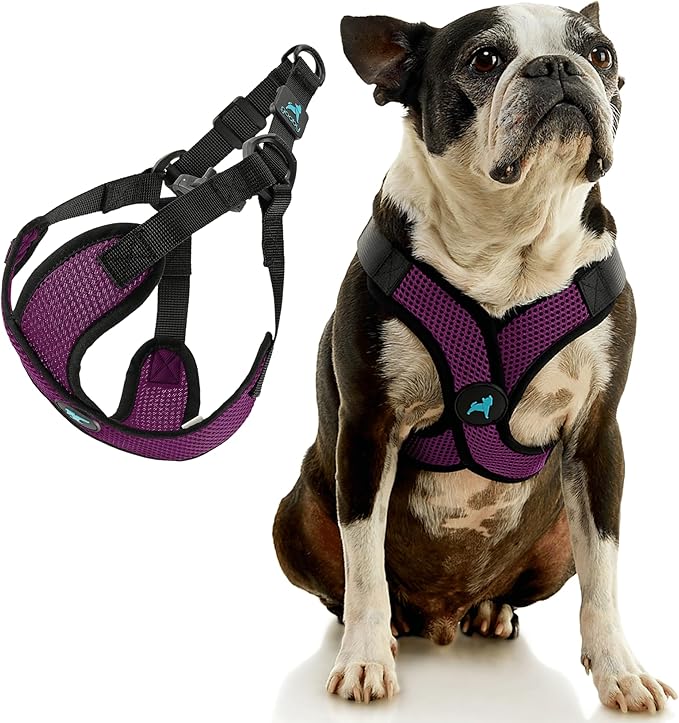 Gooby Comfort X Step in Lite Dog Harness - Choke Free, Escape Free with Light Breathable Mesh - Step in Dog Harness for Small and Medium Dogs - Quick Release Buckle, Metal D-Rings - Purple, Medium