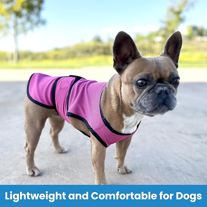Dog Cooling Vest – Lightweight Evaporative Shirt with UV Protection for Small, Medium, and Large Dogs – Breathable Soft Fabric for Hot Weather (L, Rose Pink)