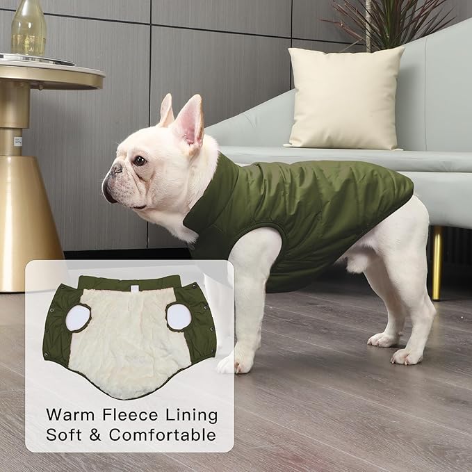 JoyDaog 2 Layers Fleece Lined Warm Dog Jacket for Puppy Winter Cold Weather,Soft Windproof Small Dog Coat,Green M