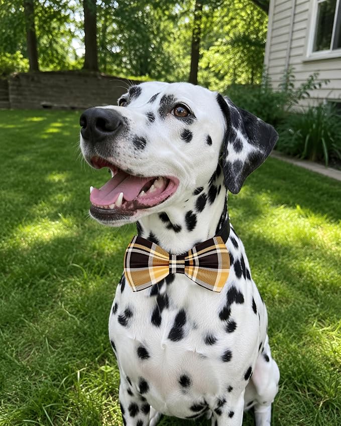 PET SHOW 10 Pack Plaid Big Dog Bow Ties for Large Medium Dogs Sliding Collar Attachments Classic Bowties Rainbow Bowknots Birthday Party Holiday Pet Grooming Accessories(Large)
