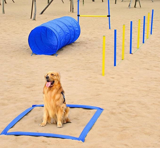 Dog Agility Equipment, Agility Training Equipment for Dogs with Agility Tunnel, Included Carry Bag & Displacing Top Bar,Agility Course for Dogs