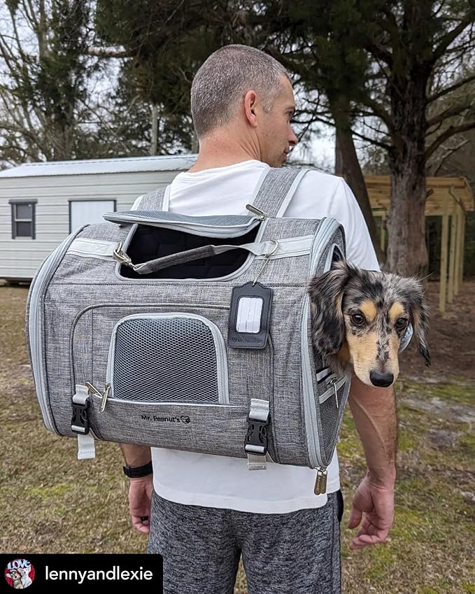 Mr. Peanut's Monterey Series Airline Compliant Horizontal Backpack Pet Carrier (Lavender)