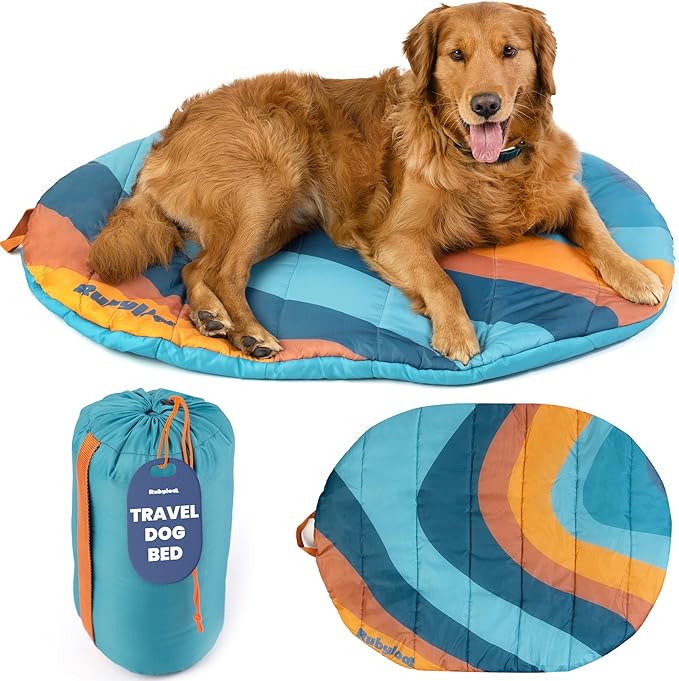Travel Dog Bed (42" x 30") – Foldable & Packable for Travel, Road Trip, Camping – Lightweight, Water Resistant & Cozy Soft Padding – Compact, Portable & Machine Washable – Medium & Large Breeds: Teal