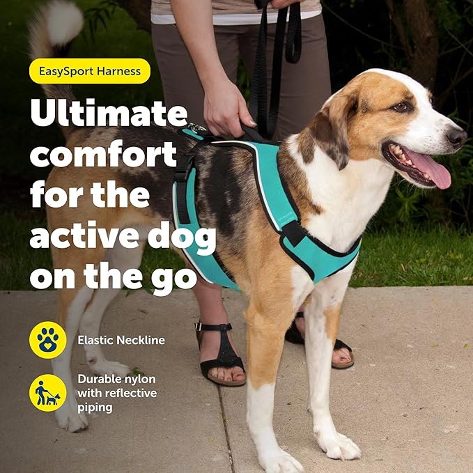 PetSafe EasySport Harness Padded Straps Fully Adjustable Elastic Neckline Best for Athletic Dogs Top Handle for Quick Control - Medium - Teal
