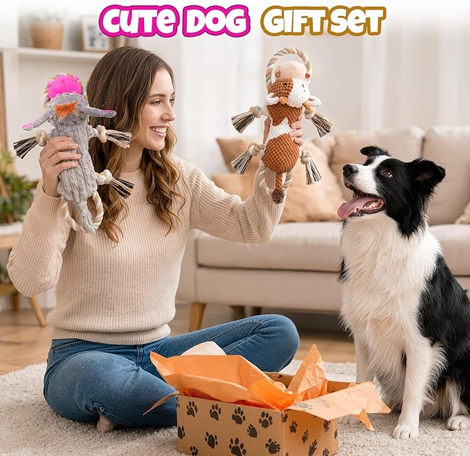 Squeaky Dog Toy Set - 2-Pack Crinkle No Stuffing Plush Dog Toys with Rope for Small to Large Dogs, Interactive Toys for Tug Play