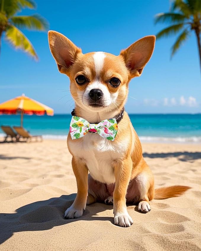PET SHOW 10 Pack Summer Small Dog Bow Ties Sliding Collar Attachments Puppy Cats Hawaiian Bowties for Medium Dogs Floral Fruit Bowknots Party Holiday Pet Grooming Accessories(Small)