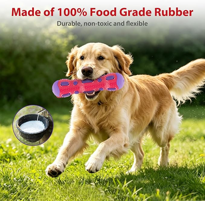 Gigwi Toothbrush Stick Dog Toy for Teeth Cleaning, Durable Rubber Dental Chewy Toy for Medium and Large Dog, Purple Color