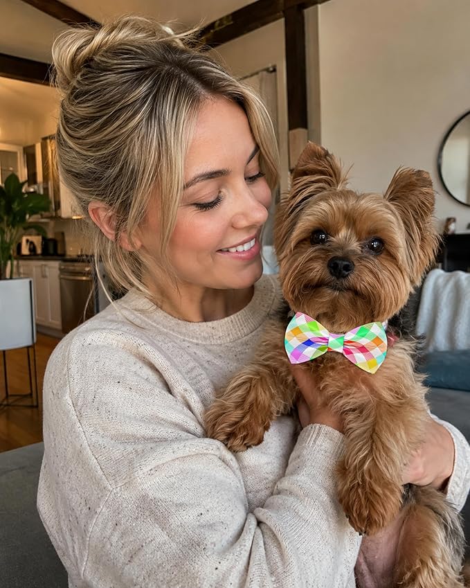 PET SHOW 10 Pack Plaid Small Dog Bow Ties Sliding Collar Attachments Puppy Cats Classic Bowties for Medium Dogs Rainbow Bowknots Birthday Party Holiday Pet Grooming Accessories(Small)
