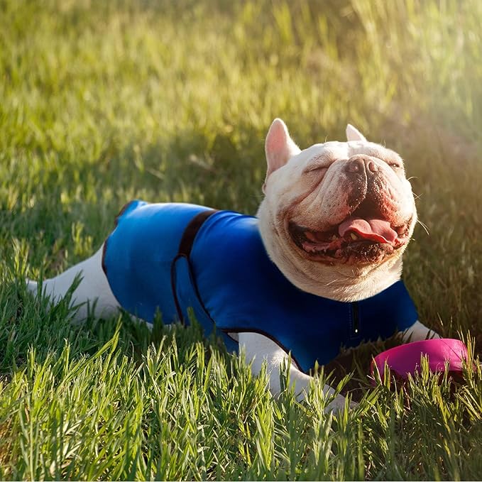 Dog Cooling Vest – Lightweight Jacket for Dogs with Zip Neck & Velcro – Easy On/Off Cooling Coat for Walks, Travel & Outdoors by Lautus Pets - L
