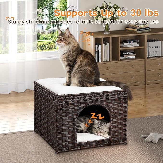 Snughome Handwoven Rattan Cat House - Indoor Foldable Cat Bed Cave with 2 Removable Bed Mats, Large Kitten House, Hideaway Pet Cube, 16.54 x 16.54 x 12.6 Inches, Brown, for Living Room & Bedroom