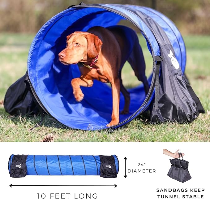 Better Sporting Dogs Elite Agility Set for Dogs w/Safety-Focused Features | 7Pc Agility Kit | (2) Bar Jumps w/Cup Strips | Breakaway Tire Jump | 6 Weave Poles | (2) 10’ Tunnel & Sandbags | Pause Box