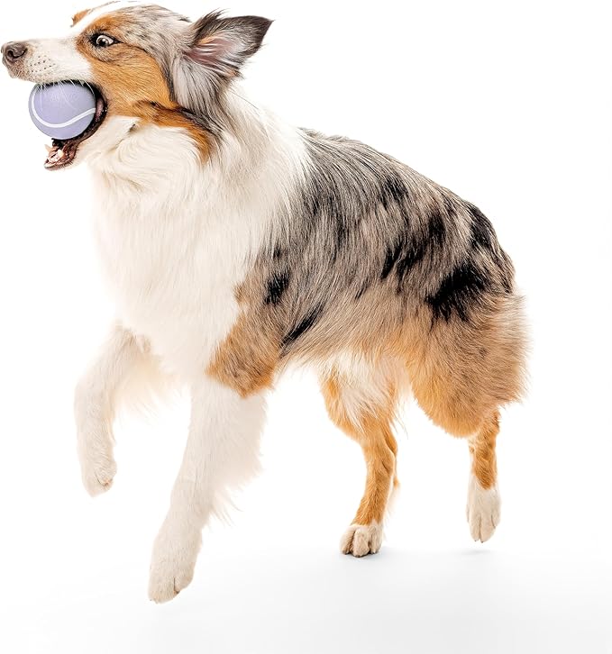 Playology Dog Toys | Squeaky Chew Ball for Large Dogs | Lamb Scented Jumbo Dog Ball | Bouncy Floating Chew Toys for Fetch
