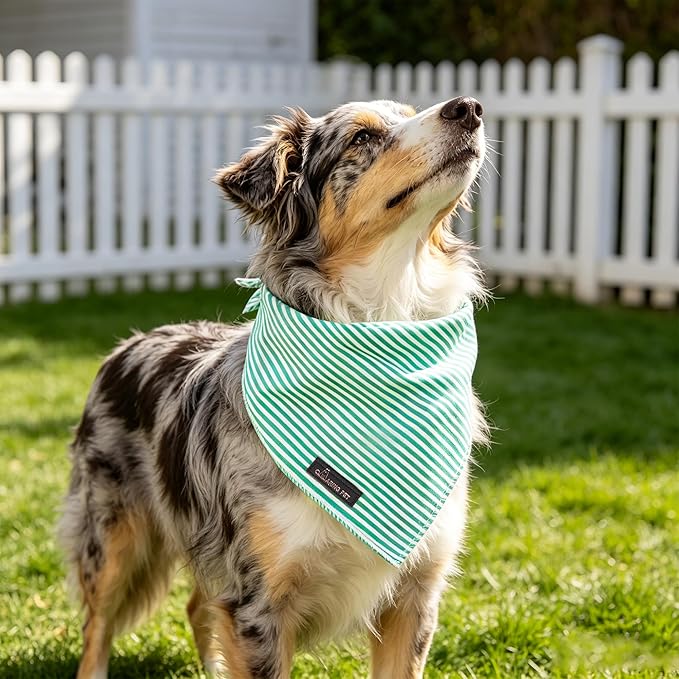 ARING PET Stripe Dog Bandanas, Cute Teal Pet Bandana Scarf Triangle Bib for Small Medium Large Boy Girl Dogs Cats, Puppy Kerchief for Daily Wear Walks Party Photos-S