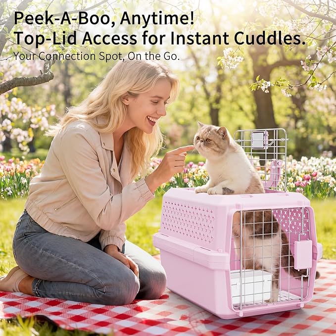 RIZZARI Portable Cat Carrier for Small Cats & Dogs:Secure Hard-Sided Pet Carrier with Ventilation - Metal Door & Carry Handle for Travel - Vet Visits & Daily Use (Pink, X-Small)