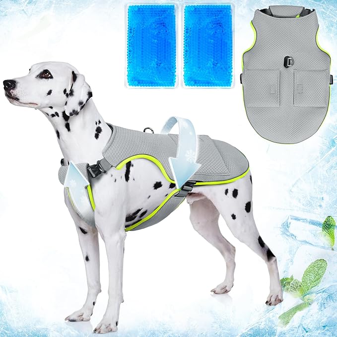 Mora Pets Dog Cooling Vest with Ice Packs, Reflective Adjustable Cooling Vest for Dogs with Leash Ring for Hot Weather Cooling Harness for Large Medium Dogs Green (PDV-Gel-GXL)