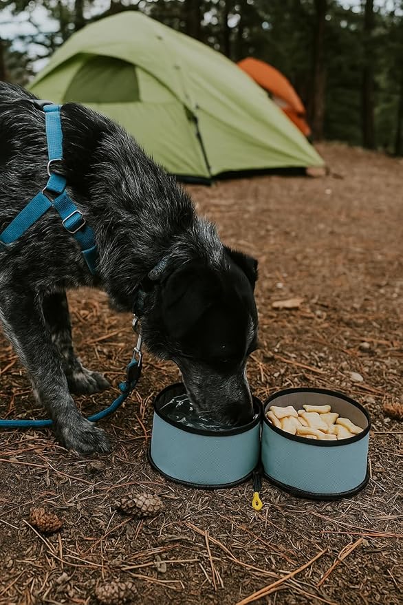 OllyDog Superbowl | Collapsible Dog Travel Bowl | 2-Compartment Food & Water | Foldable Portable Dog Dish | Hiking Camping Backpacking | Small Medium Large Dogs (St. Lucia)
