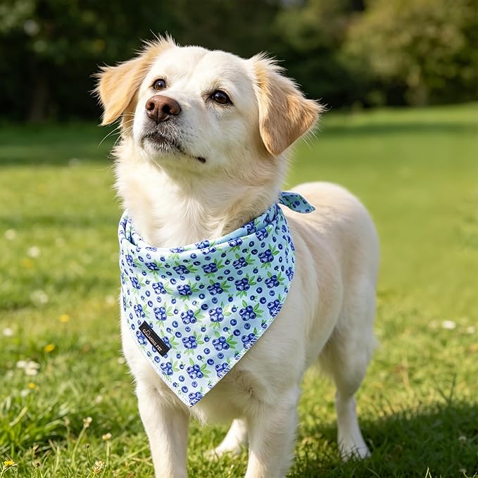 ARING PET Blueberry Dog Bandanas, Cute Blue Pet Bandana Scarf Triangle Bib for Small Medium Large Boy Girl Dogs Cats, Puppy Kerchief for Daily Wear Walks Party Photos-S