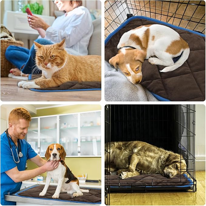 Lasuroa 2pcs Self Heating Pet Mat, 16x20 Inch Warm Cat Bed Mat, Non Skid Thermal Pads for Puppy Rabbit in Winter (Brown)