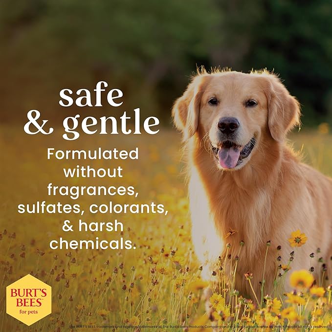 BURT'S BEES FOR PETS Ear Cleaner for Dogs with Pepeprmint and Witch Hazel, 99.7% Natural Origin Formulas, Dog Ear Cleaner, Ear Cleaning Solution for Dogs, 4 oz