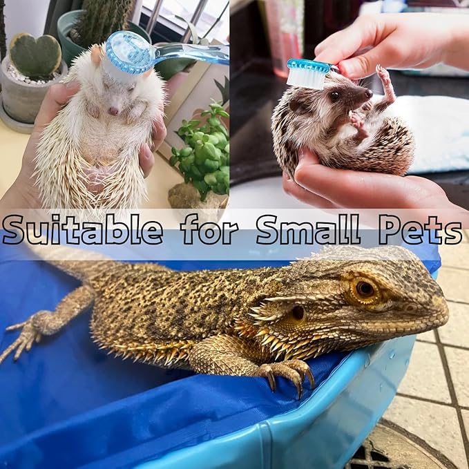 Bearded Dragons Foldable Bathtub with Soft Brush and Towel Set Reptile Accessories Swimming Pool Relax Cleaning Set for Small Pets Guniea Pig Turtle Hedgehog (19.68x3.14In)