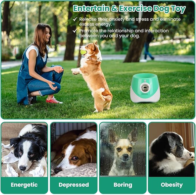 TeqHome Automatic Ball Launcher for Dogs, Dog Ball Thrower Launcher Fetch Machine with 3 Adjustable Distance & 6 Tennis Balls (2 inch),Indoor Outdoor Interactive Puppy Pet Toy for Small to Medium Dogs