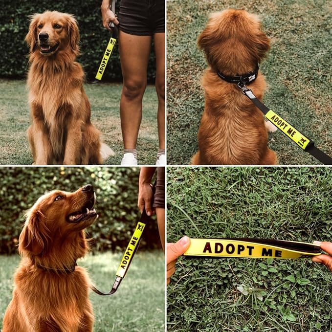 Tuff Pupper Waterproof Leash Sleeve | Fits Any Standard Size 1 Inch Wide Leash | Dual Sided Message | Durable Neoprene & Silicone | Odor & Stink Proof | Easy Secure On & Off (1 Pack, Adopt Me)