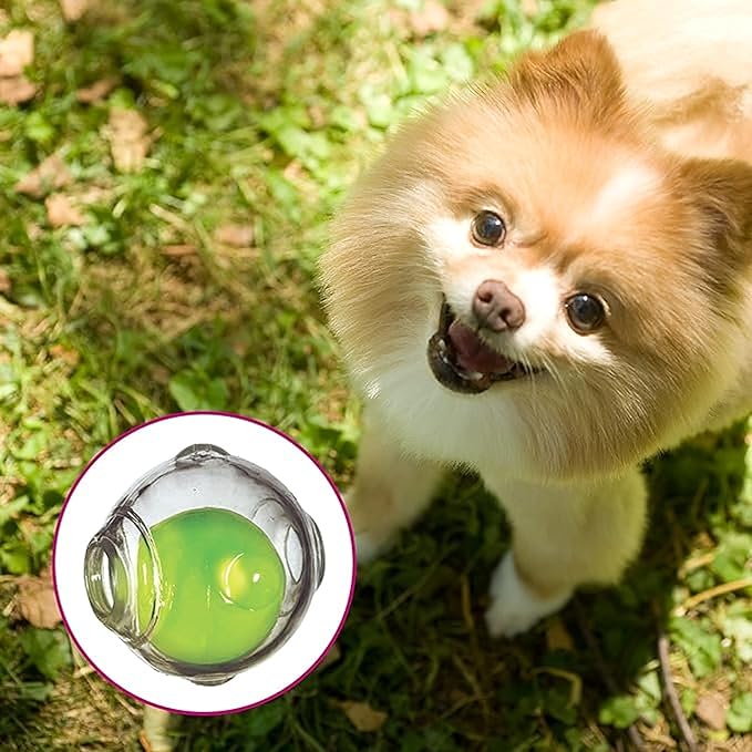 Chase 'n Chomp Dog Amazing Squeaker Ball Toy for Pets, Clear, 2.5 Inch, (3 Pack)