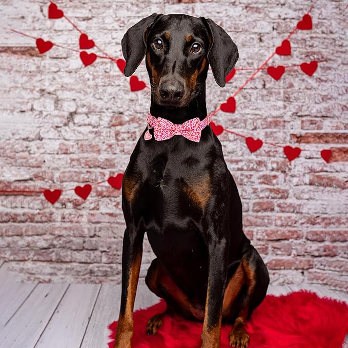 ADOGGYGO Valentine Dog Collar with Bow, Metal Buckle, Adjustable Pink Heart Bowtie Pet Valentine Collars for Medium Large Dogs (Large)