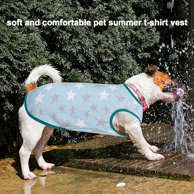 Lightweight Breathable Dog Cooling Shirts, Quick Dry Dog Sunscreen T-Shirt, Professional Pet Summer Vest for Small Medium Large Girl Boy Dogs