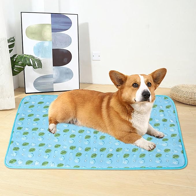 DELIFUR Dog Cooling Mat- Pet Cooling Mat Outdoor for Dogs Self Cooling Pad for Puppy Small Medium Dog Machine Washable (Large, Blue Ice)
