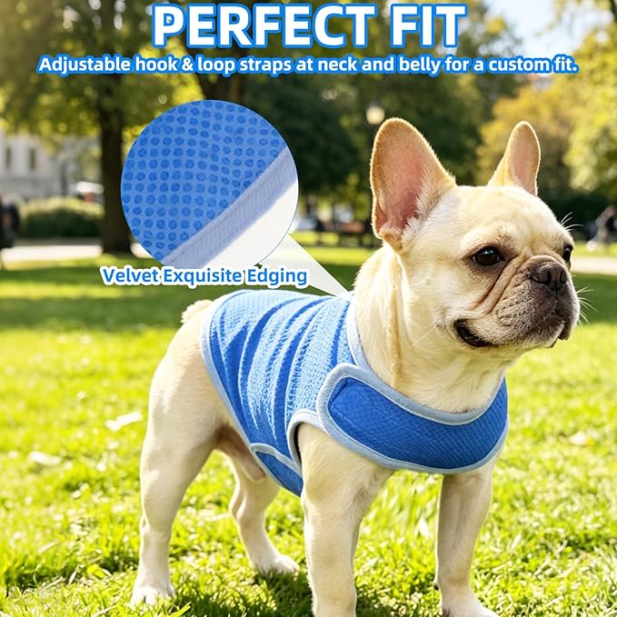 PUPTECK Dog Cooling Vest, Breathable Mesh PVA Dog Shirt, Lightweight Soft Instant Chill Sleeveless Pet Clothes, Adjustable Cooler Jacket Puppy Outfit for Hot Summer Outdoor, Blue M