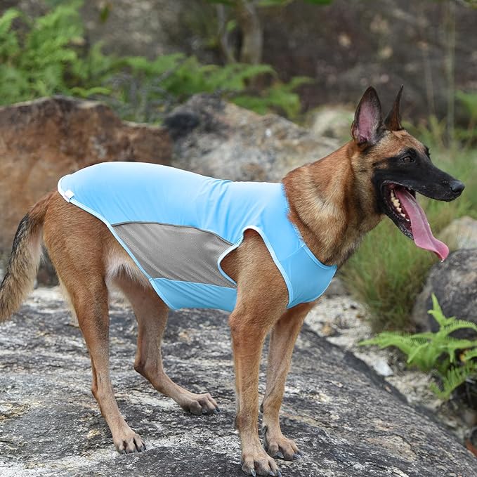 UPF 50+ Sun Protection Dog Shirt 2 Pack - Sleeveless Reflective Vest for Medium Large Dogs Boy, Quick-Dry Sports Fan Pet T-Shirt, UV Protective Breathable Dog Clothes P23ST00505XXXL