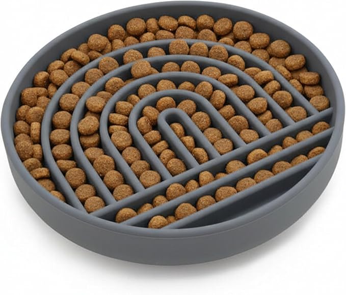 Should We Go? Slow Feeder for Dogs & Puppies, The Slowdown Bowl Silicone Slow Eating, Modern Lick Mat Design, Reduces Gulping, Fits 2 Cups, 7.5” Across x 1.5” Tall, Mealtime Challenge, Medium-Charcoal