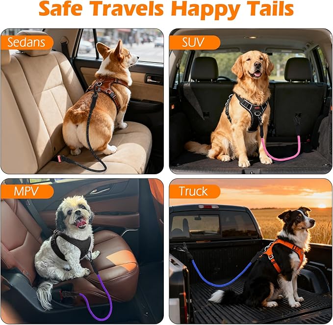 PetBonus Dog Seat Belt for Car, Durable Rope Dog Car Harness Seatbelt for Vehicle, Pet Tether Safety Restraint with Heavy Duty Buckle Hook Latch Lockable Clip for Small Medium Large Breeds (Blue)