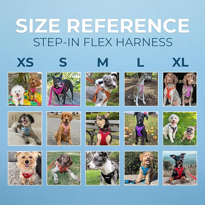 Best Pet Supplies Voyager Adjustable Step-in Flex Breathable Mesh Dog Harness for Small Medium Large Dogs (Purple), XS