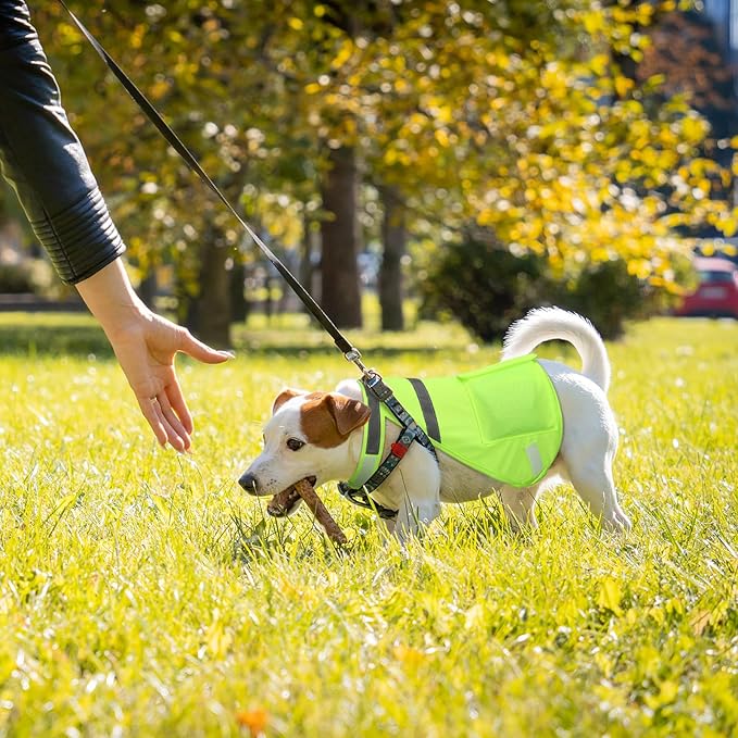 Aliceset 2 Pcs Dog Cooling Vest with 4 Recyclable Ice Pack Summer Outdoor Dog Cooling Harness Shirt Adjustable Pet Cooler(Fluorescent Green,Medium)