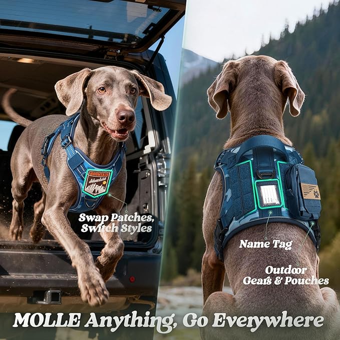 rabbitgoo Dog Harness for Large Dogs No Pull, Tactical Service Pet Vest with Molle and Control Handle, Adjustable and Reflective Military Harness for Easy Walking and Training, Blue Camo, L