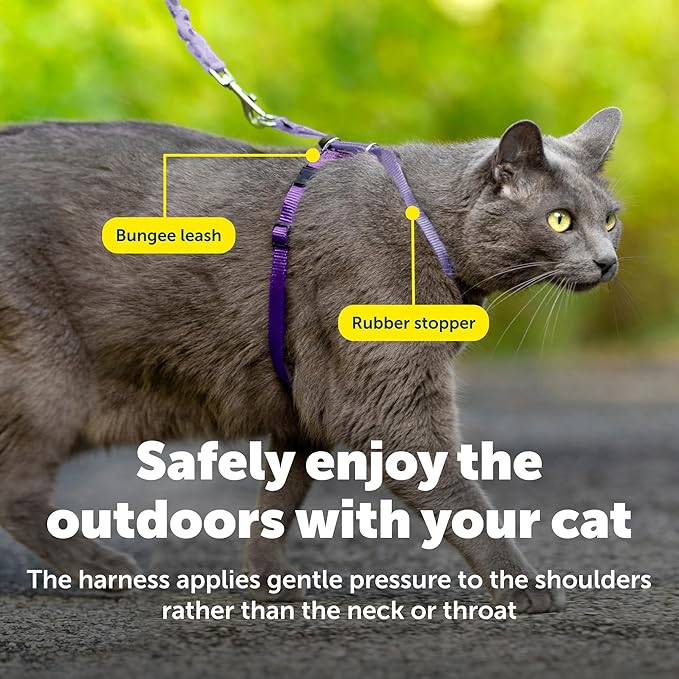 PetSafe Come with Me Kitty Harness and Bungee Leash Adjustable, Lightweight Harness for Cats Medium, Lilac
