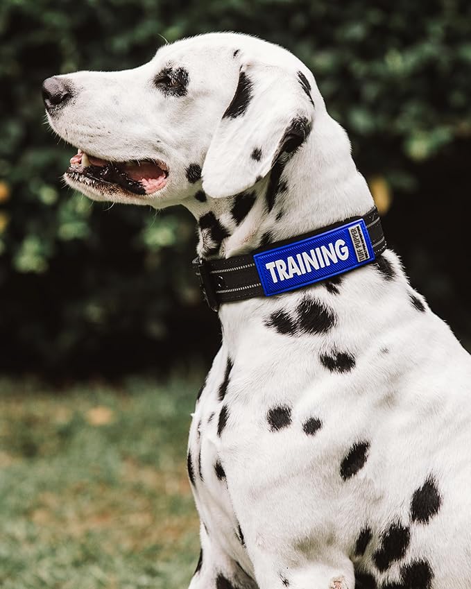 Tuff Pupper 2-Pack Waterproof Collar Sleeves | Fits Any 3/4 Inch Wide Dog Collar | Dual Sided Message | Durable Silicone & Neoprene | Odor & Stink Proof | Easy Slide On & Off (in Training, Small)