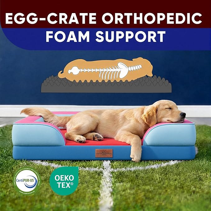Comfort Expression Orthopedic Dog Bed for Extra Large Dogs 42x30 Inch, Waterproof Egg Crate Foam XL Pet Bed with Bolsters, Dog Couch with Washable Cover & Non-Slip Bottom, Atlanta