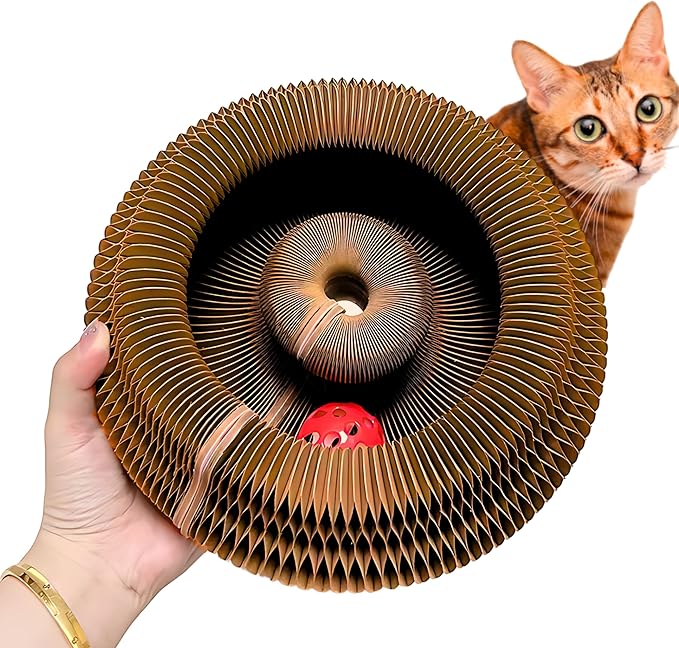KITTY KURLZ Interactive Cat Toy with Rolling Ball, Shape-Shifting Cardboard Scratcher & Collapsible Scratch Pad Ring for Indoor Cats, Play, Lounge & Enrichment