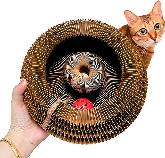 KITTY KURLZ Interactive Cat Toy with Rolling Ball, Shape-Shifting Cardboard Scratcher & Collapsible Scratch Pad Ring for Indoor Cats, Play, Lounge & Enrichment
