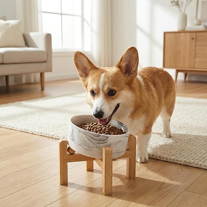 hjn Elevated Ceramic Dog Bowl 15°Slanted Raised Dog Bowl with Bamboo Stand for Small Medium Dogs and Cats, Pet Feeder -3.6-Cup (850ml)-Marble Gray