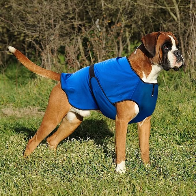 Dog Cooling Vest – Lightweight Jacket for Dogs with Zip Neck & Velcro – Easy On/Off Cooling Coat for Walks, Travel & Outdoors by Lautus Pets - XXL