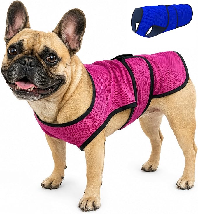 Dog Cooling Vest – Lightweight Evaporative Shirt with UV Protection for Small, Medium, and Large Dogs – Breathable Soft Fabric for Hot Weather (S, Rose Pink)